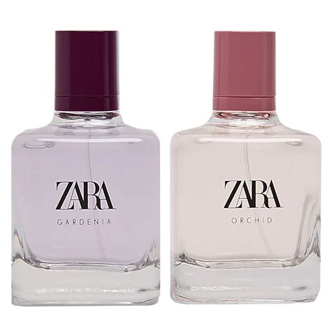 zara gardenia perfume price.